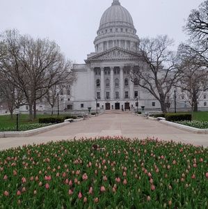 Meet your Posher, Curran